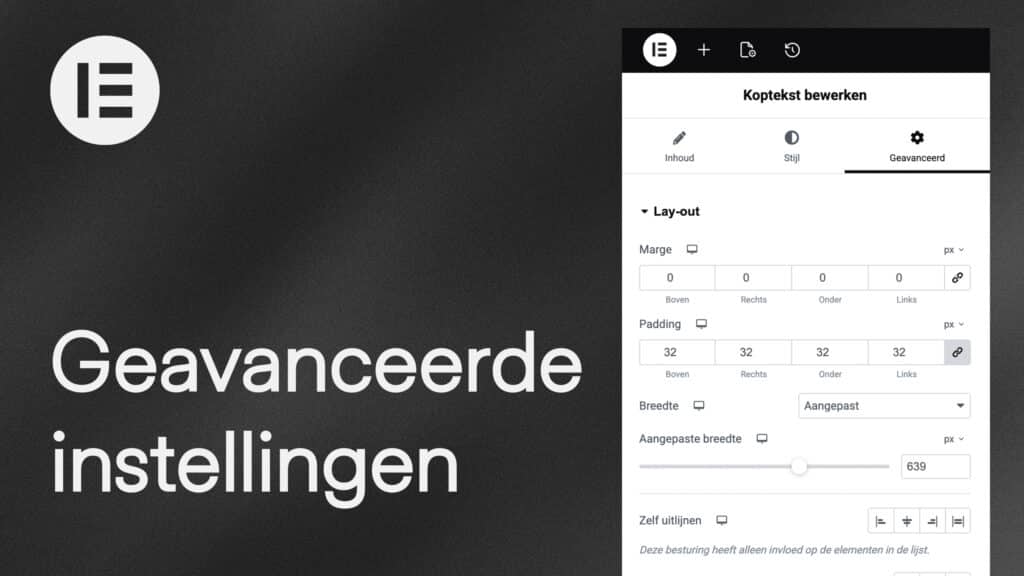 Geavanceerde instellingen Elementor Pro V3